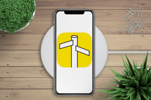 Мобильное приложение ios ArtPassport