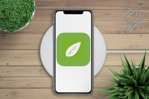 Мобильное приложение ios Акуловка: фермерские продукты