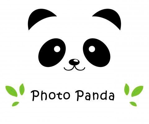 img3976556.png