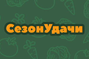 Банер