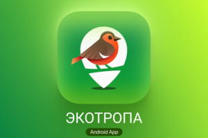 Логотип и иконка приложения