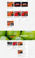 BRIDGE MEDIA