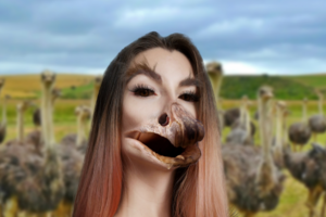 Страус