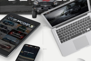 devolro.com Корпоративный сайт под ключ со встроенным магазином