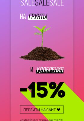 img3449107.png