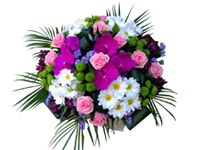 img2542629.png