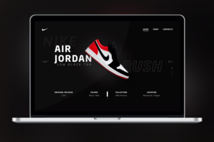 Nike Air Jordan 1