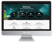 Маркетинговые исследования для WEBLABEL.RU