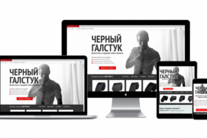 Продающая страница магазина галстуков (Wordpress)