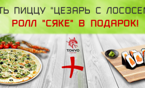 Работа 3151823