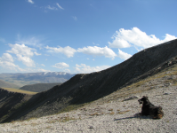 в горах Алтая