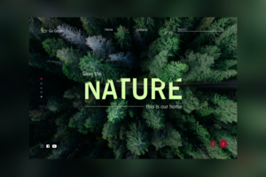 Первый экран-концепт для GoGreen