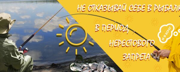 img3907835.png
