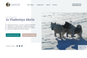 Питомник собак "Iz Vladeniya Akelo"