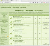 Форум Intbb