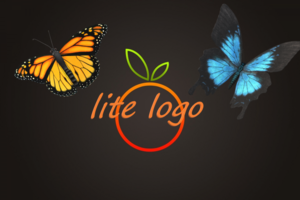 lite logo