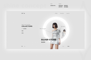 SHINE CONCEPT