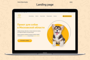 Приют для собак