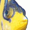 img571212.png