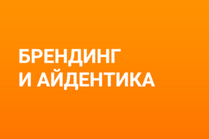 Работа 3161110