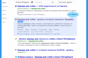 1 место по "одежда для собак"