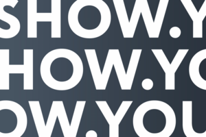 Проект Show You
