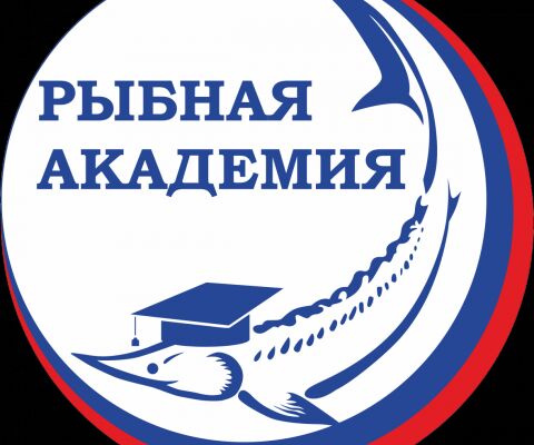img3577122.png