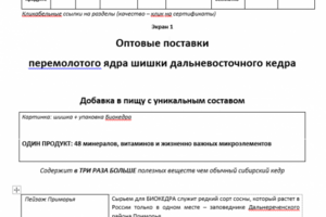 Лендинг для привлечения В2В-партнеров