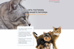 Гостиница для кошек в Краснодаре