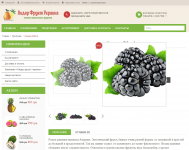 http://www.liderfrukt.com.ua/