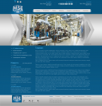 MSE