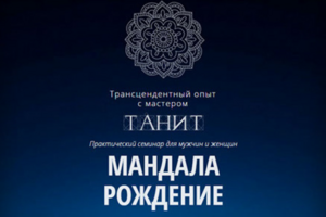 Работа 3343196