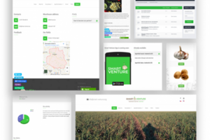 Проект "Smart Venture"