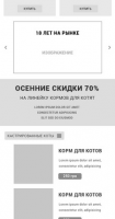 Прототип главной для мобильных устройств