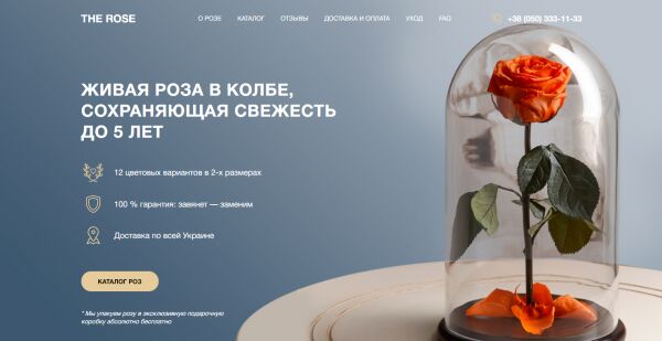 img3392287.png