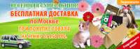 Кормовозофф весенний