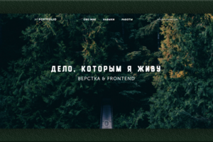 Portfolio