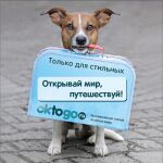 img2940436.png