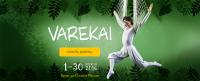 Шоу Varekai