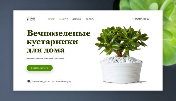 img3331377.png
