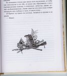 img3044203.png