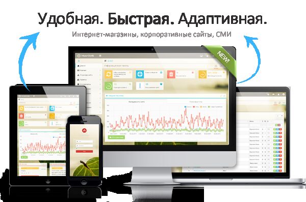 img3224333.png