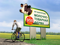 6х3 Корова