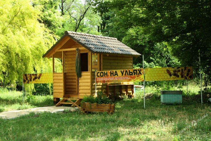 создаю архитектуру и дизайн загородных домов.