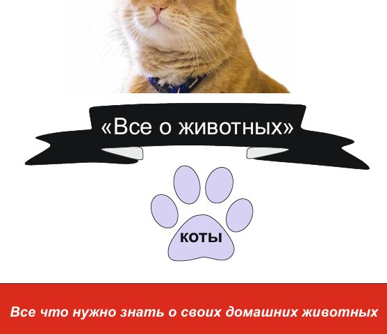 Дизайн Брошюра
