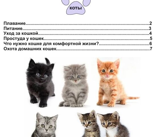 Дизайн Брошюра