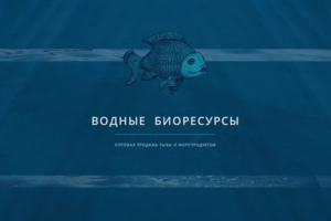 Сайт-визитка Водные Биоресурсы
