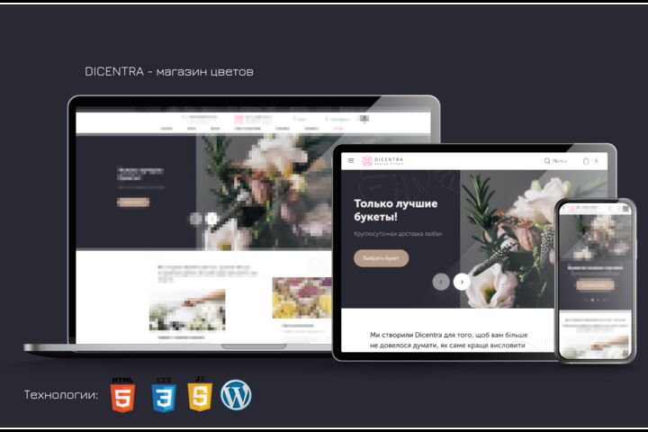 Разработка Веб-Приложений и SEO-продвижение