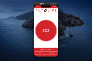 AutoLife