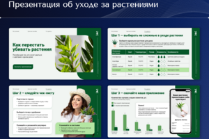 Презентация об уходе за растениями